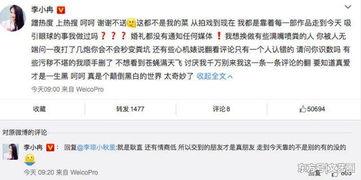 应采儿爆料李小璐视频,真相背后引发热议